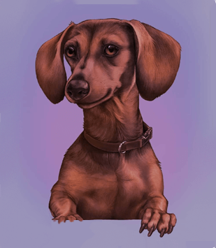 Digital Art Drawing of Dachshund with Purple Background | Simbans PicassoTab XL 11.6 Inch Standalone  Drawing Tablet 